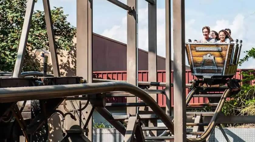 Wild Mouse