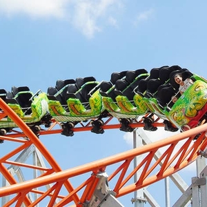 Family Coaster