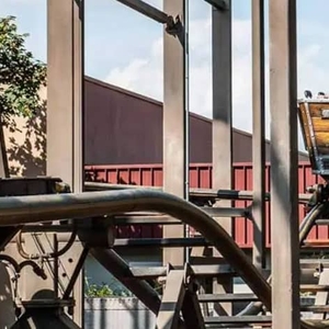 Wild Mouse